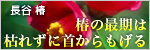 長谷 椿ブログ「椿のお最期は枯れずに首からもげる」